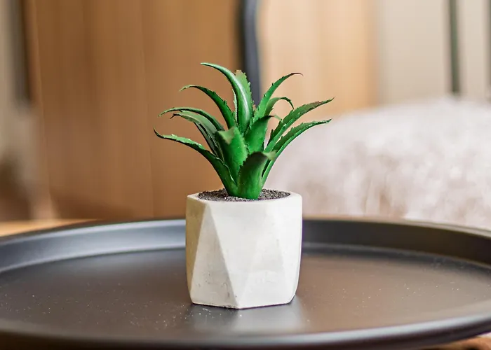 Nevsky Loft - * صوفيا