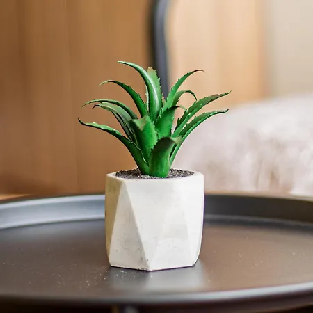 Nevsky Loft - * Sofie